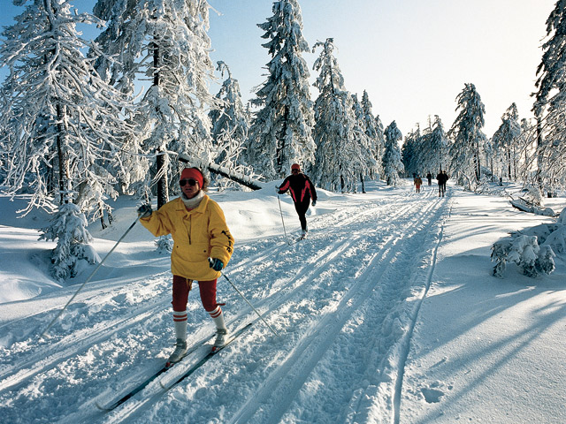 Winteraktivitäten